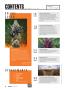 Page: - 6 | High Times