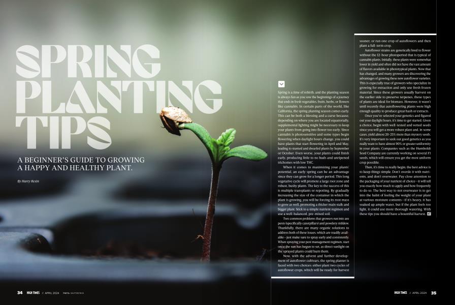 SPRING PLANTING TIPS