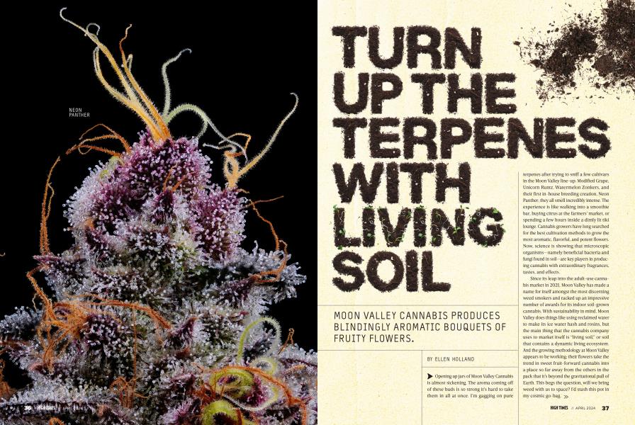 TURN UP THE TERPENES WITH LIVING SOIL