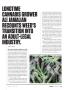 Page: - 17 | High Times