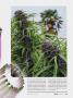 Page: - 31 | High Times