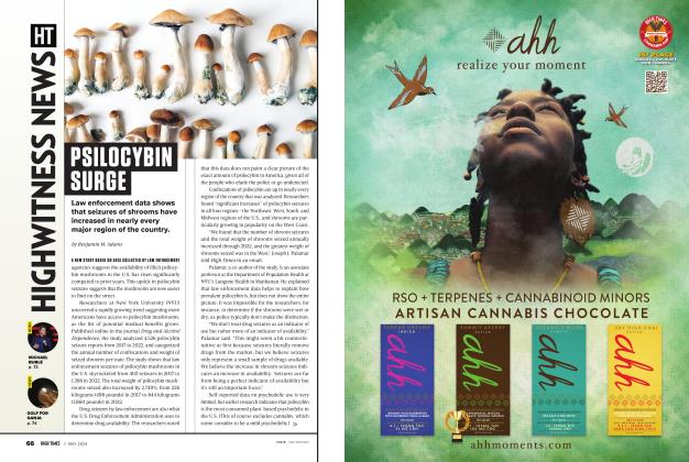 PSILOCYBIN SURGE