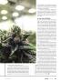 Page: - 13 | High Times