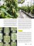 Page: - 35 | High Times
