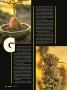 Page: - 48 | High Times