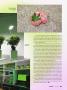 Page: - 59 | High Times