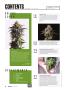Page: - 6 | High Times