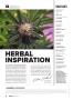 Page: - 8 | High Times