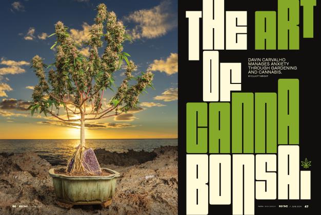 THE ART OF CANNABONSAI