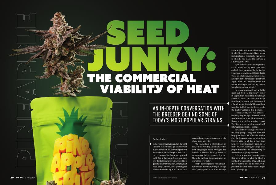 SEED JUNKY: THE COMMERCIAL VIABILITY OF HEAT