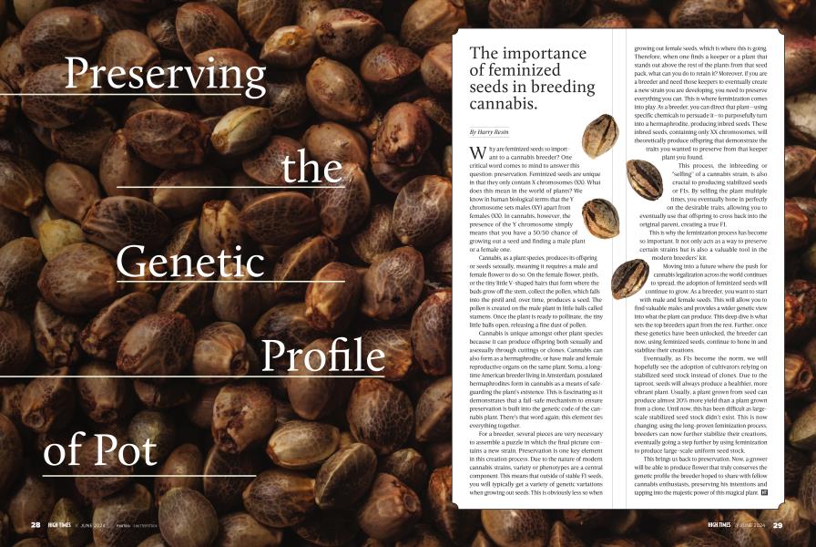 Preserving the Genetic Profile of Pot