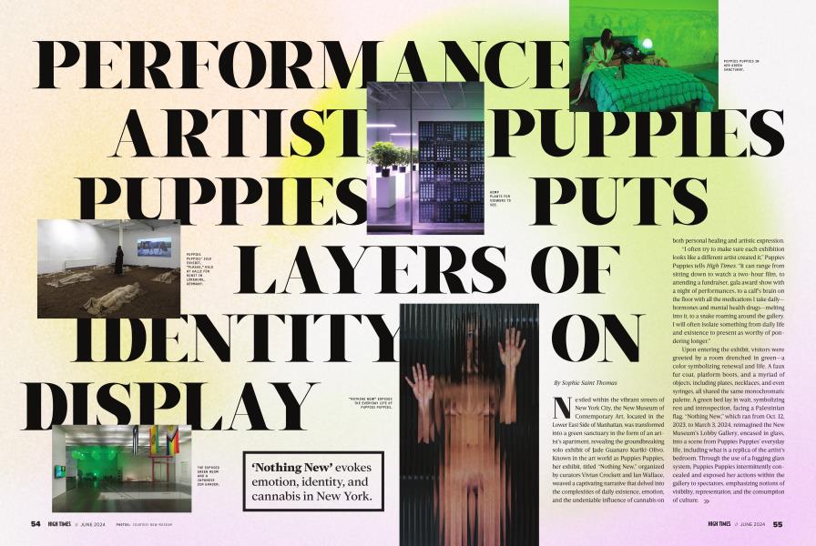 PERFORMANCE ARTIST PUPPIES PUPPIES PUTS LAYERS OF IDENTITY ON DISPLAY
