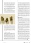 Page: - 13 | High Times