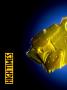 Page: - 40 | High Times