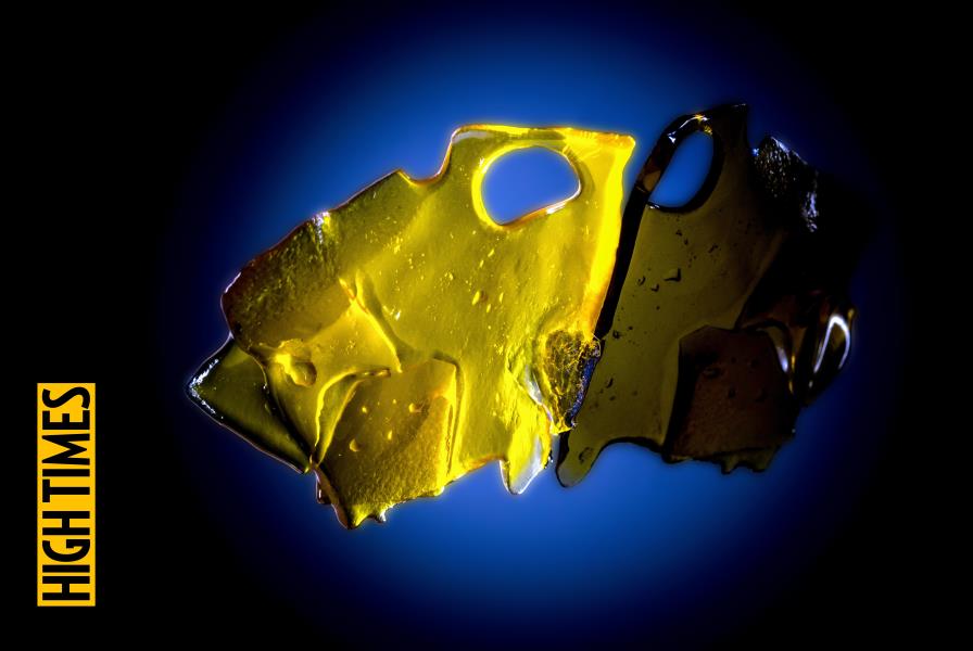 HIGH TIMES