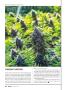 Page: - 20 | High Times