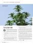 Page: - 40 | High Times
