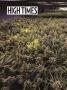 Page: - 42 | High Times