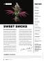 Page: - 8 | High Times