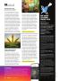Page: - 10 | High Times