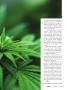 Page: - 13 | High Times