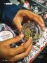Page: - 16 | High Times