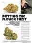 Page: - 17 | High Times