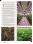Page: - 28 | High Times