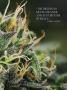 Page: - 31 | High Times