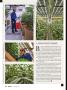 Page: - 32 | High Times