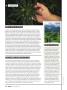Page: - 74 | High Times