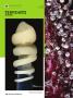 Page: - 108 | High Times