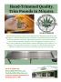 Page: - 119 | High Times