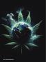 Page: - 56 | High Times