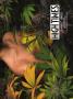 Page: - 61 | High Times