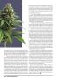 Page: - 84 | High Times