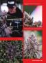 Page: - 99 | High Times